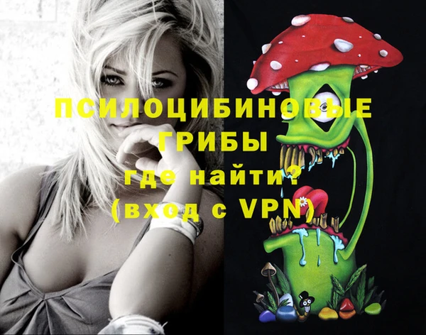 кристаллы Ельня
