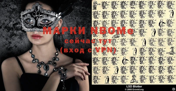 винт Елизово