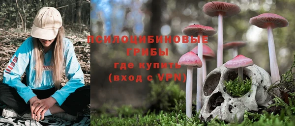 винт Елизово