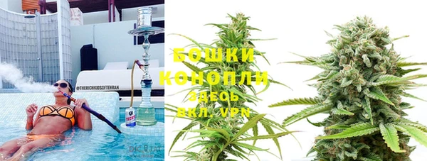 винт Елизово