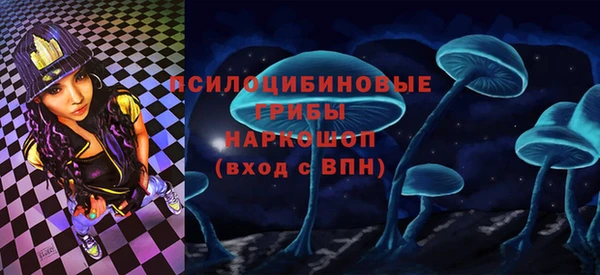 винт Елизово