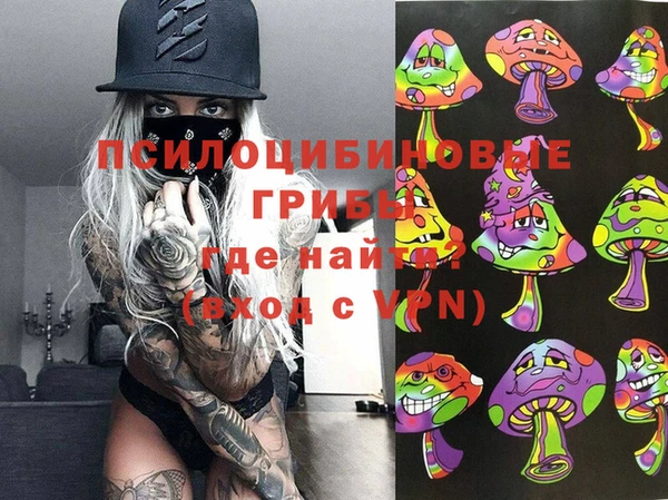 кристаллы Ельня